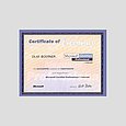 cert-mcp-i_g