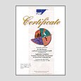 cert-crm_g